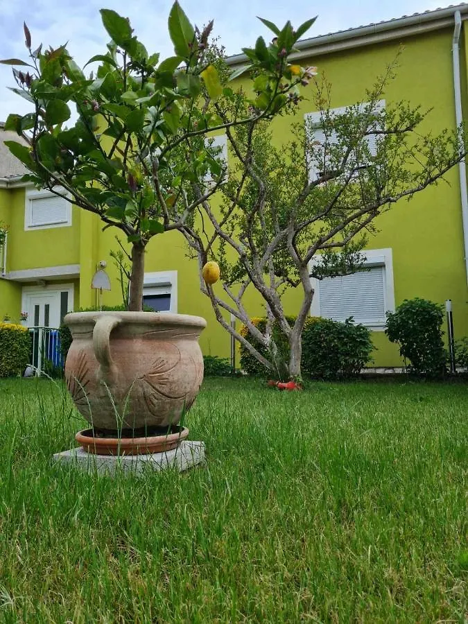 Green House Villa Pula